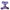 Purple Bloom - Adjustable Dog Harness
