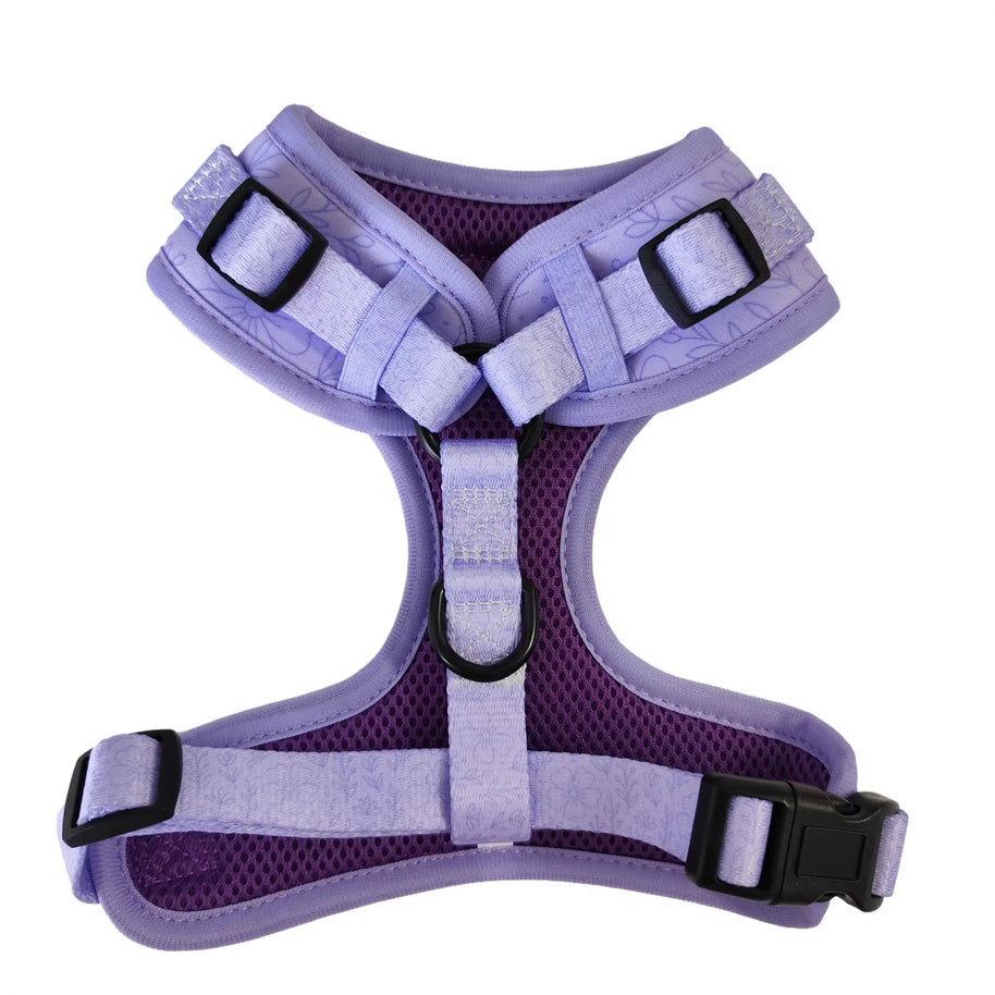 Purple Bloom - Adjustable Dog Harness